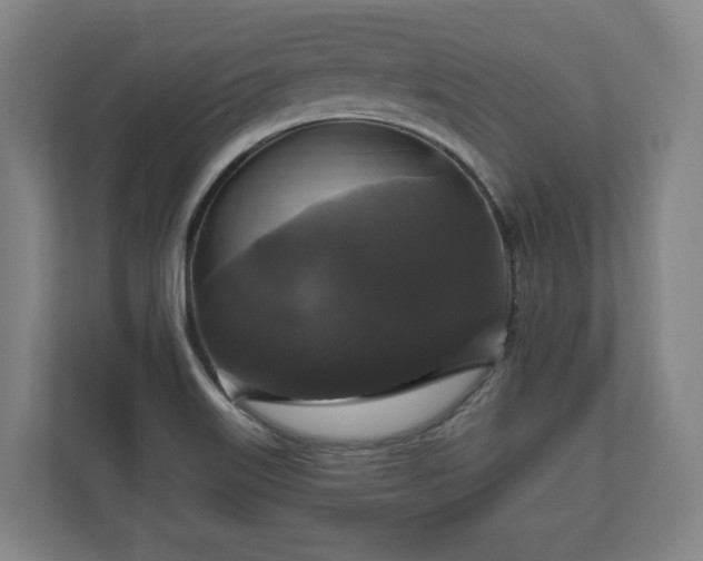 X0000111201515200907081231