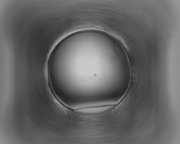 X0000111201516200907081231