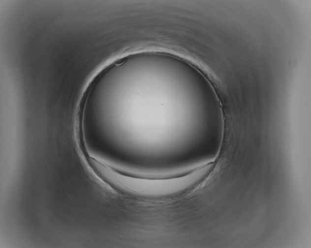 X0000111201518200907081231