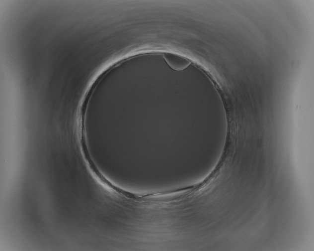 X0000111201519200907081231