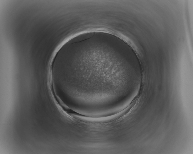 X0000111201520200907081231