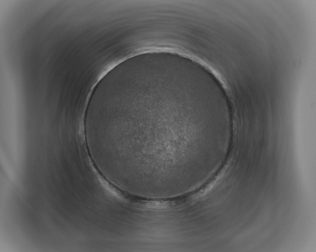 X0000111201521200907081231