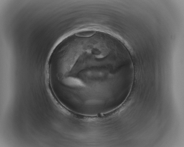 X0000111201522200907081231