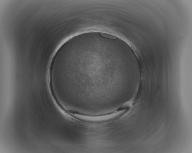 X0000111201523200907081231