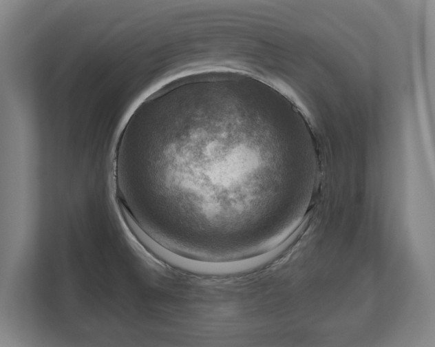 X0000111201524200907081231