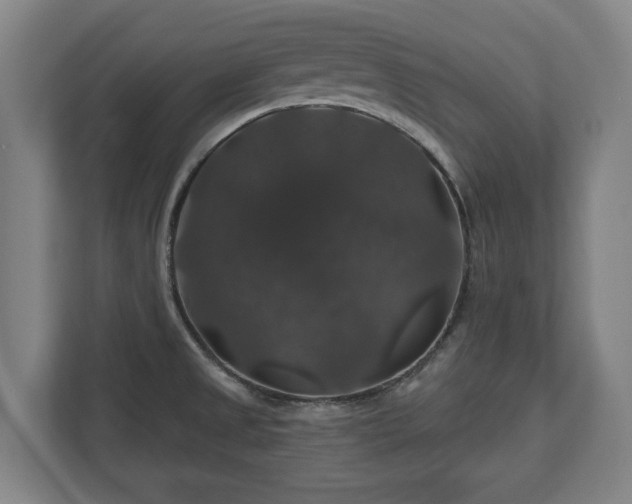 X0000111201525200907081231