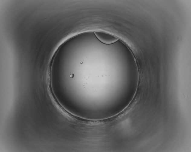 X0000111201526200907081231