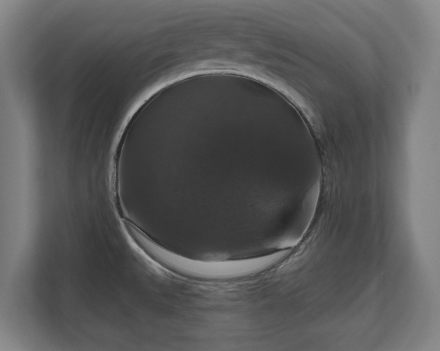 X0000111201527200907081231