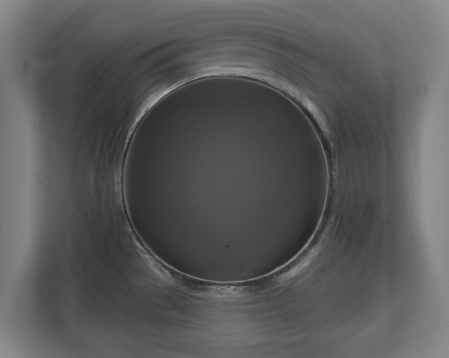 X0000111201529200907081231