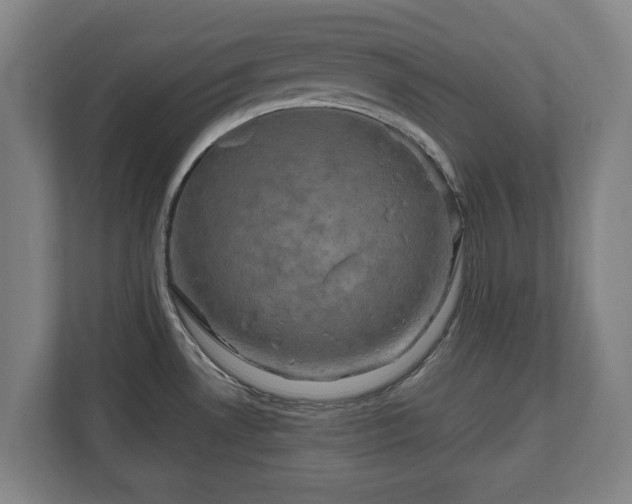 X0000111201530200907081231