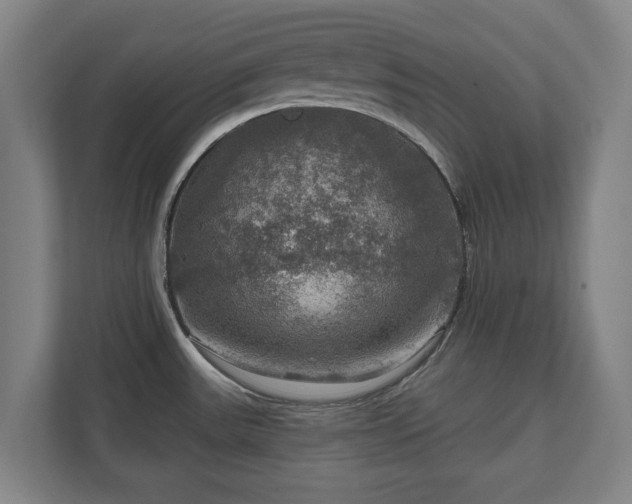 X0000111201531200907081231