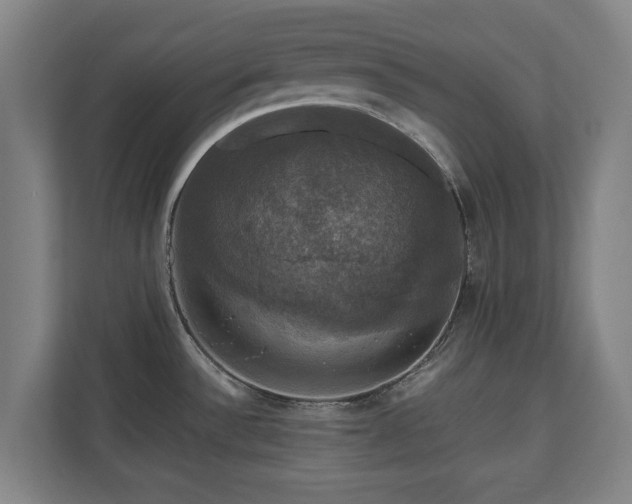 X0000111201532200907081231