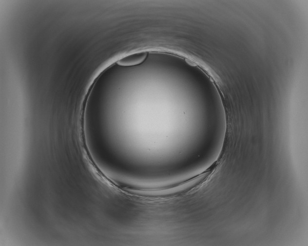 X0000111201534200907081231