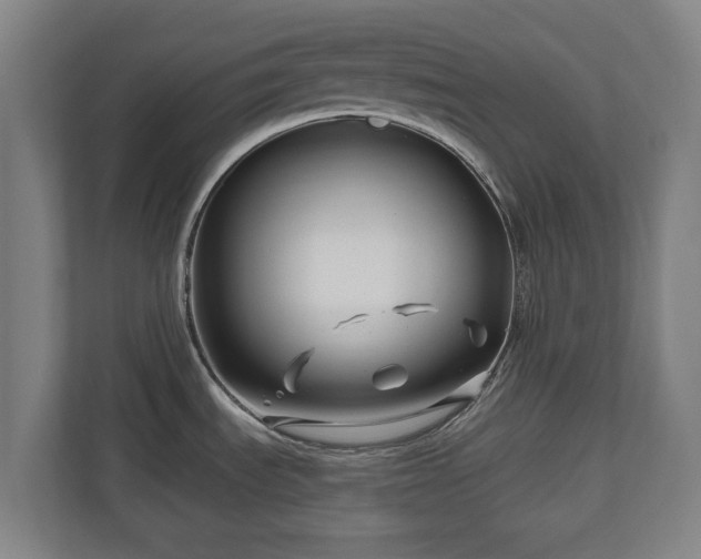 X0000111201535200907081231