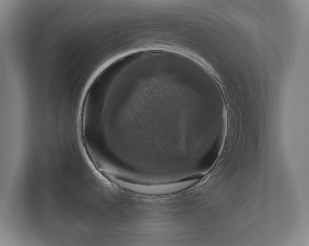 X0000111201536200907081232