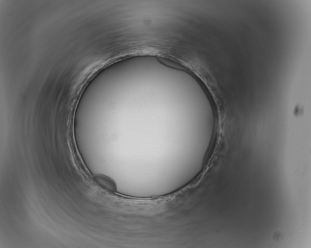 X0000111200001200907151425