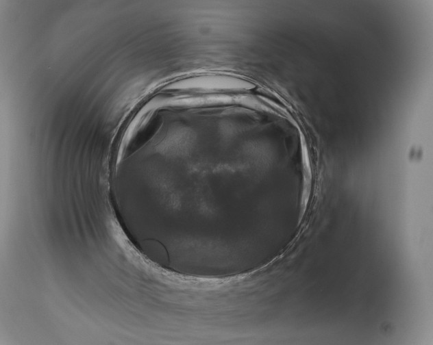 X0000111200002200907151425