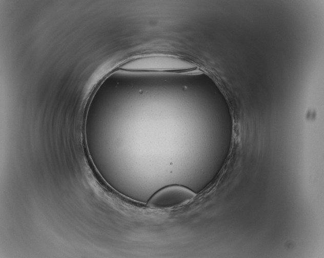 X0000111200004200907151425