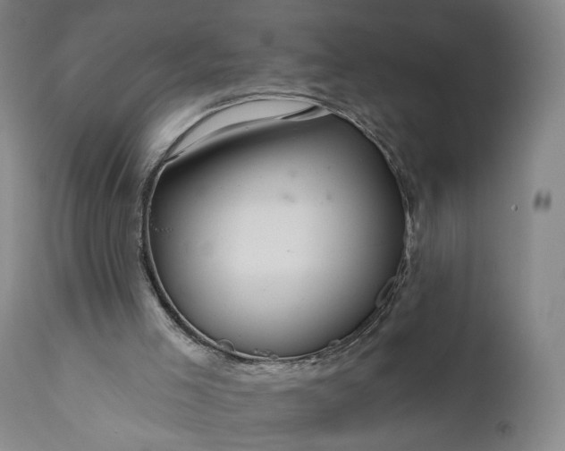 X0000111200005200907151425