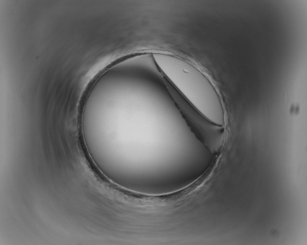 X0000111200008200907151425