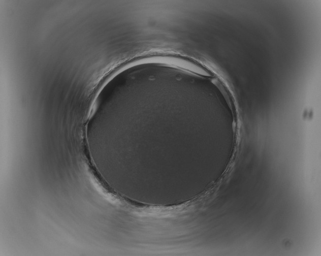 X0000111200009200907151425