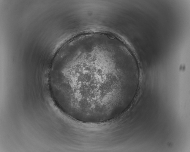 X0000111200010200907151425