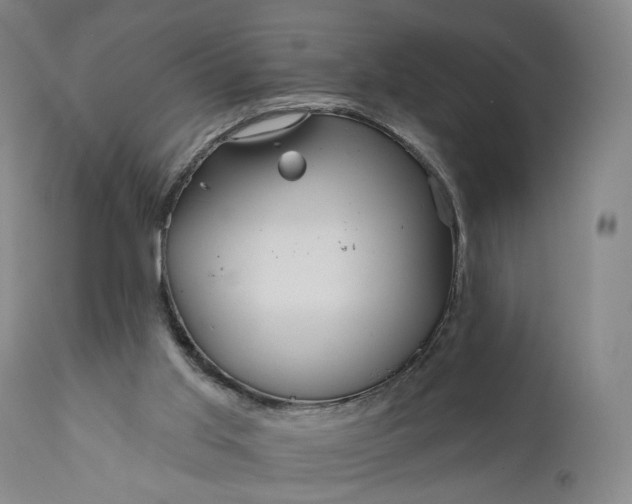 X0000111200013200907151425