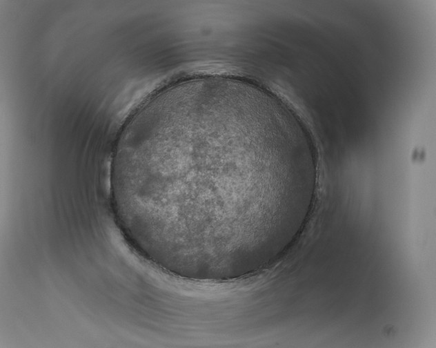 X0000111200014200907151425