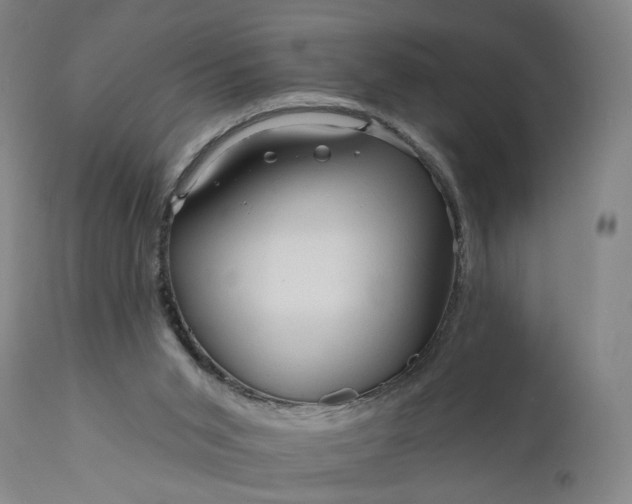 X0000111200015200907151425