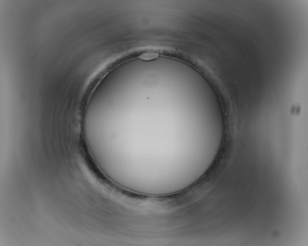 X0000111200016200907151425