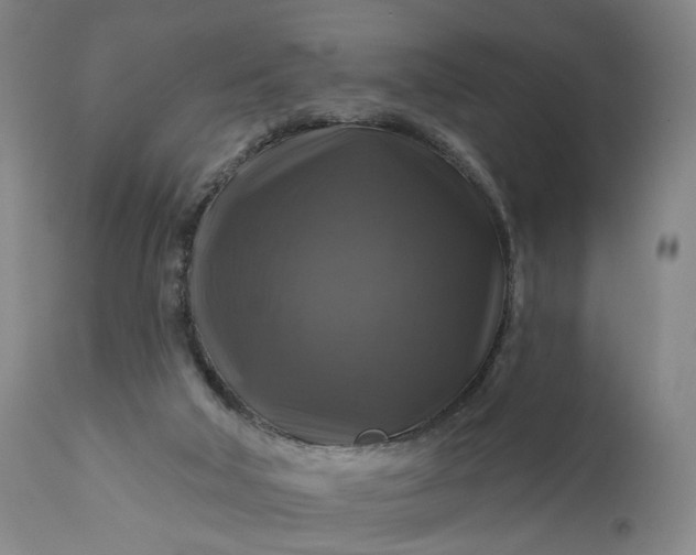 X0000111200018200907151425