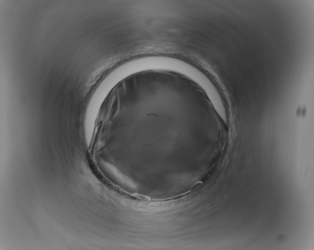 X0000111200019200907151425