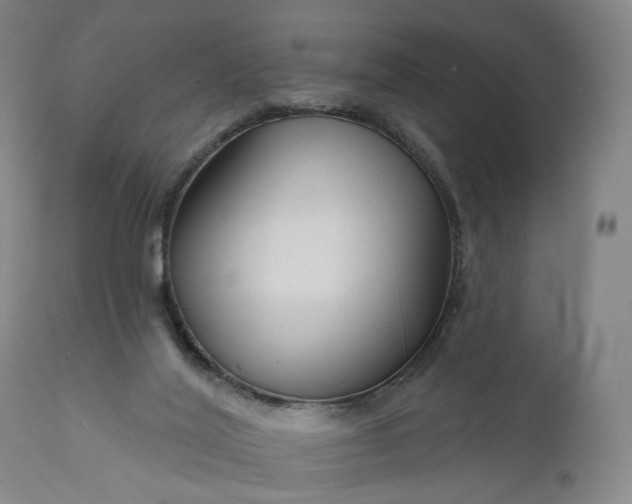 X0000111200020200907151425