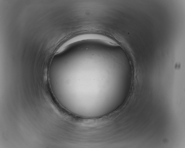 X0000111200021200907151425