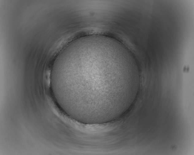 X0000111200022200907151425