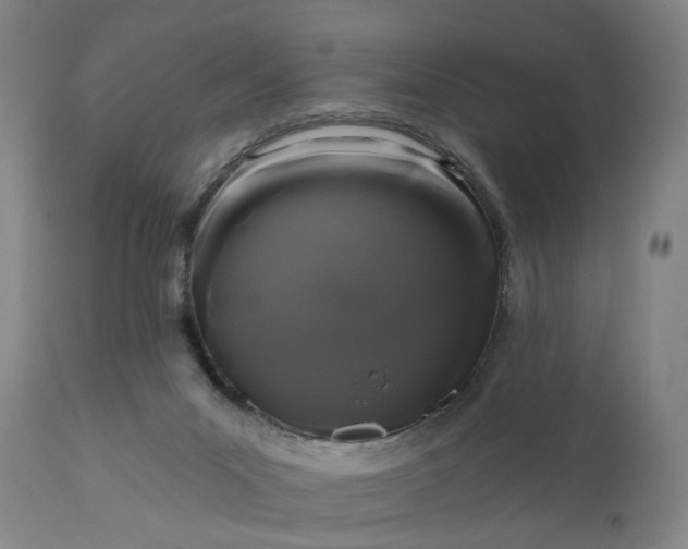 X0000111200023200907151425