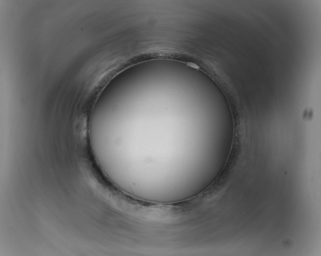 X0000111200024200907151424