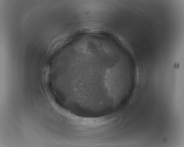 X0000111200026200907151424