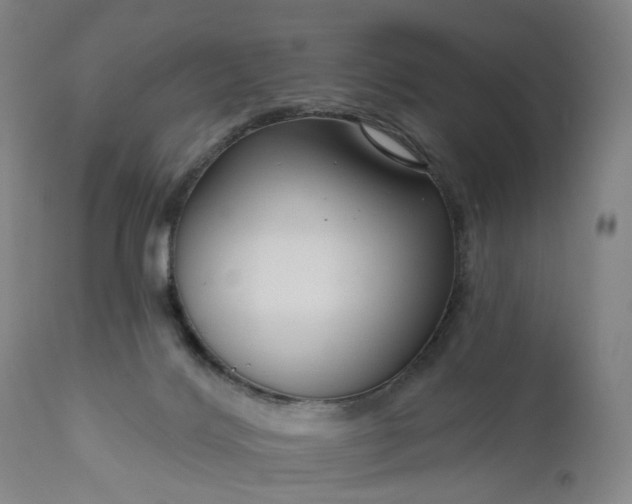 X0000111200028200907151424