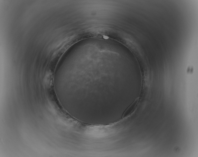 X0000111200029200907151424