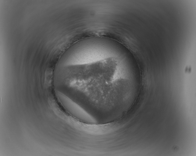 X0000111200030200907151424