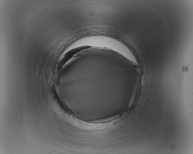 X0000111200031200907151424