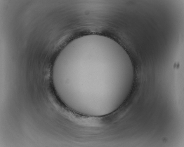 X0000111200032200907151424