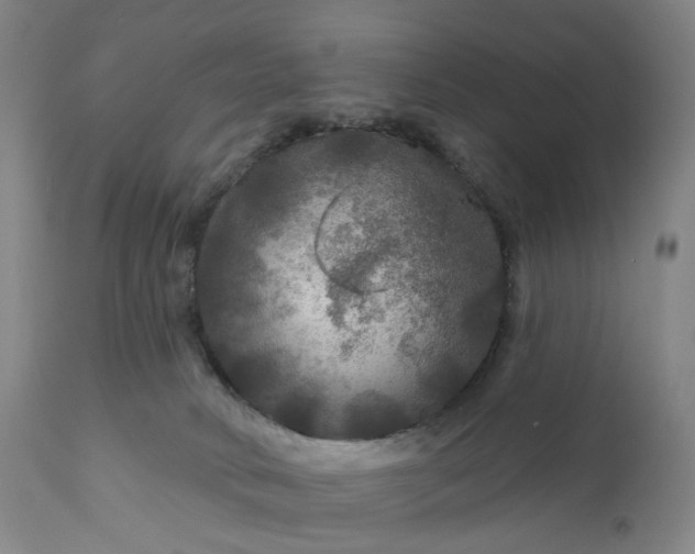 X0000111200034200907151424