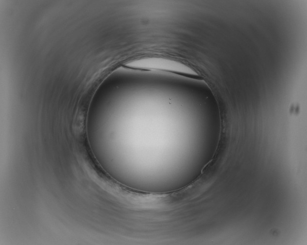 X0000111200036200907151424