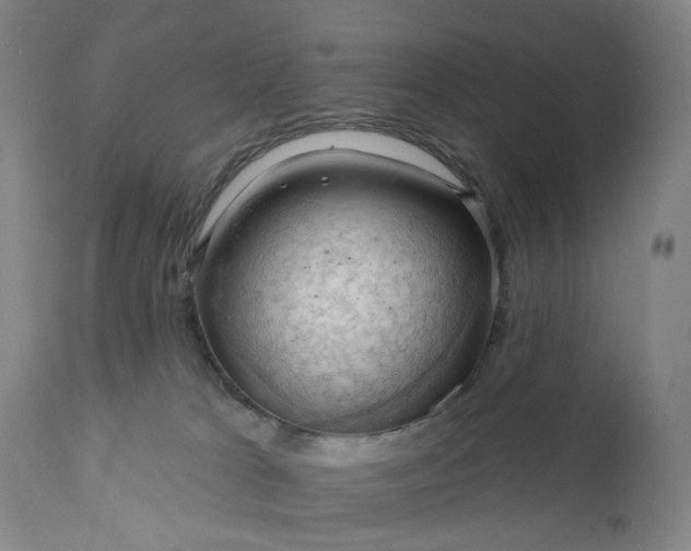 X0000111200037200907151424