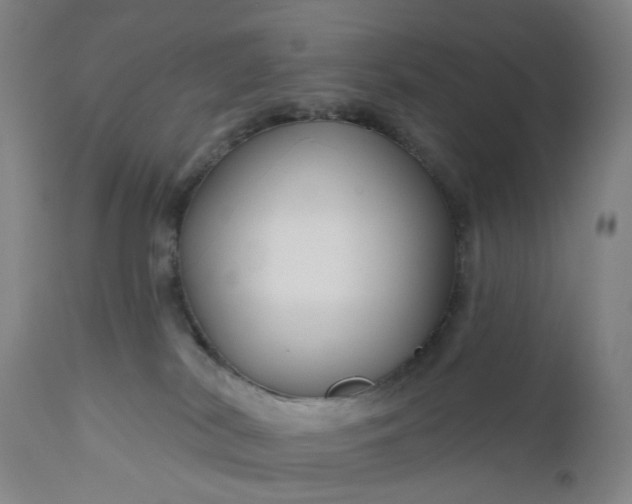 X0000111200038200907151424