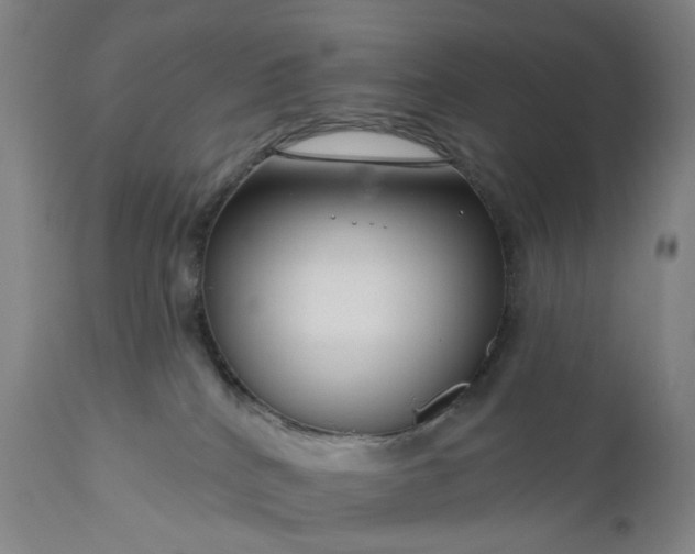 X0000111200040200907151424