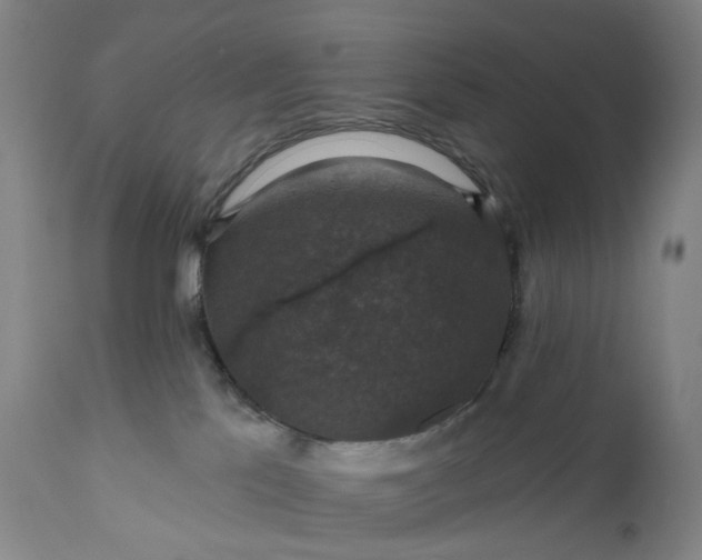 X0000111200041200907151424