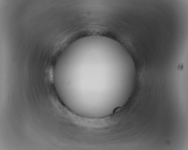 X0000111200042200907151424